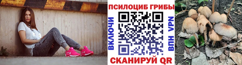 гидра рабочий сайт  Смоленск  Псилоцибиновые грибы Psilocybine cubensis 