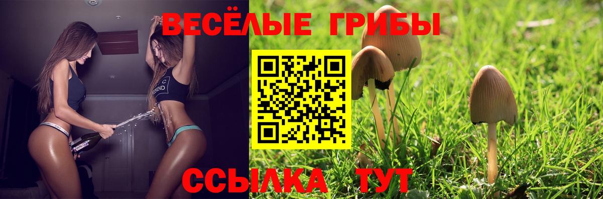 Псилоцибиновые грибы Magic Shrooms  Галлюциногенные грибы MAGIC MUSHROOMS  Вход с VPN  Смоленск 